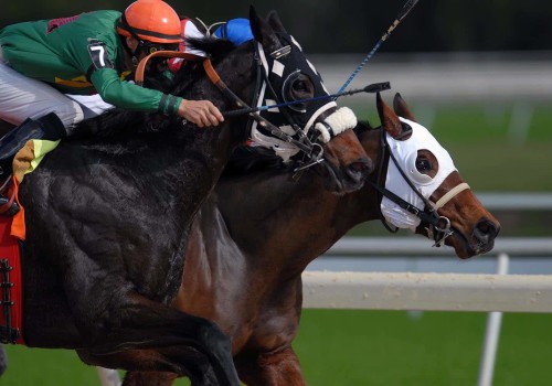 A Beginner's Guide to Point Spread Bets